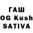 Галлюциногенные грибы Psilocybine cubensis Clover Cage