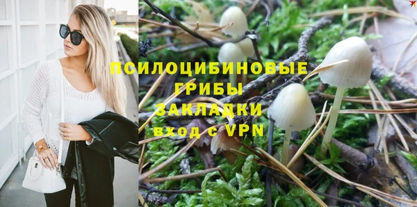 индика Балахна