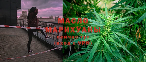индика Балахна