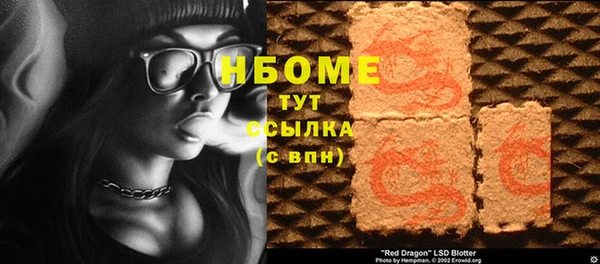 индика Балахна