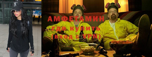 индика Балахна